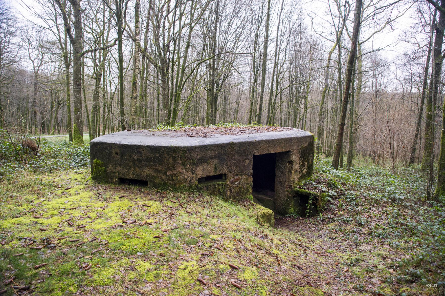 Ligne Maginot - BA17 - CARREFOUR ALEXANDRE - (Blockhaus pour canon) -  - Lia VERMEULEN