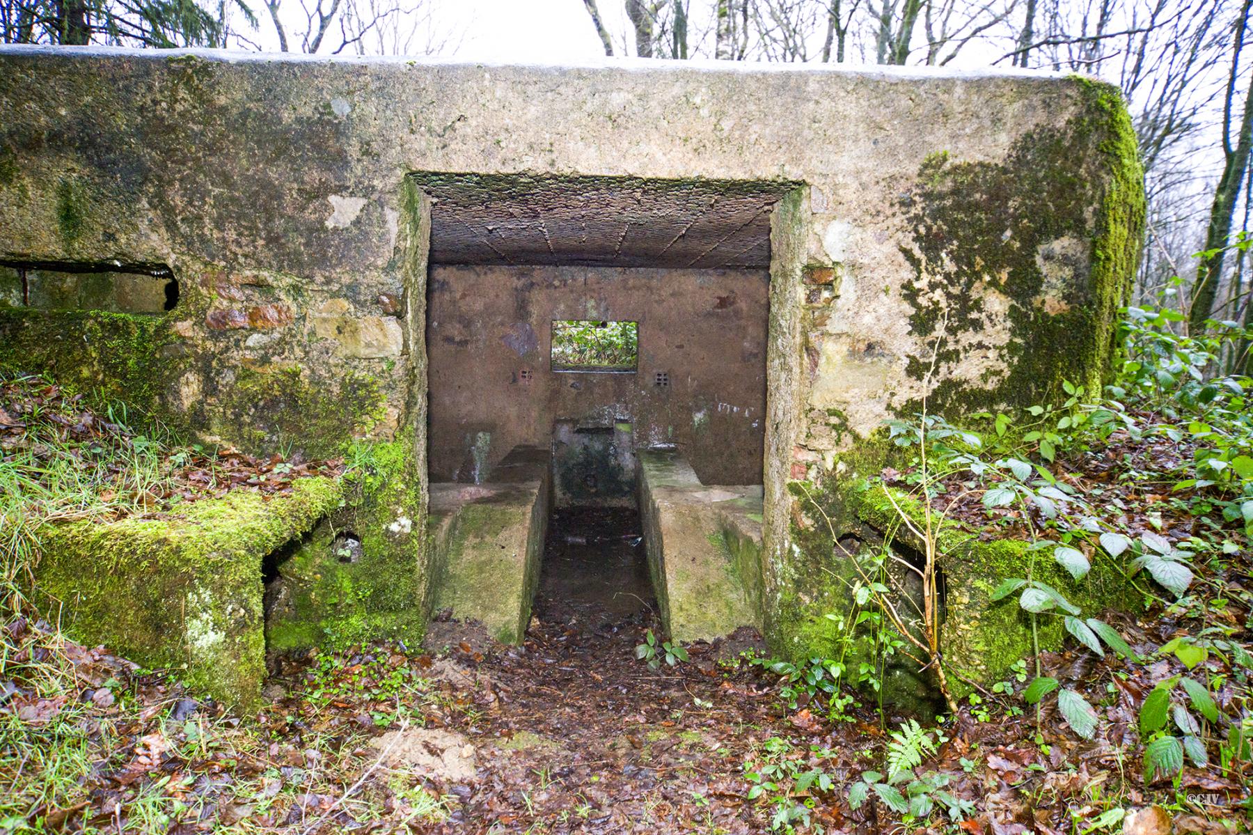 Ligne Maginot - BA17 - CARREFOUR ALEXANDRE - (Blockhaus pour canon) -  - Lia VERMEULEN