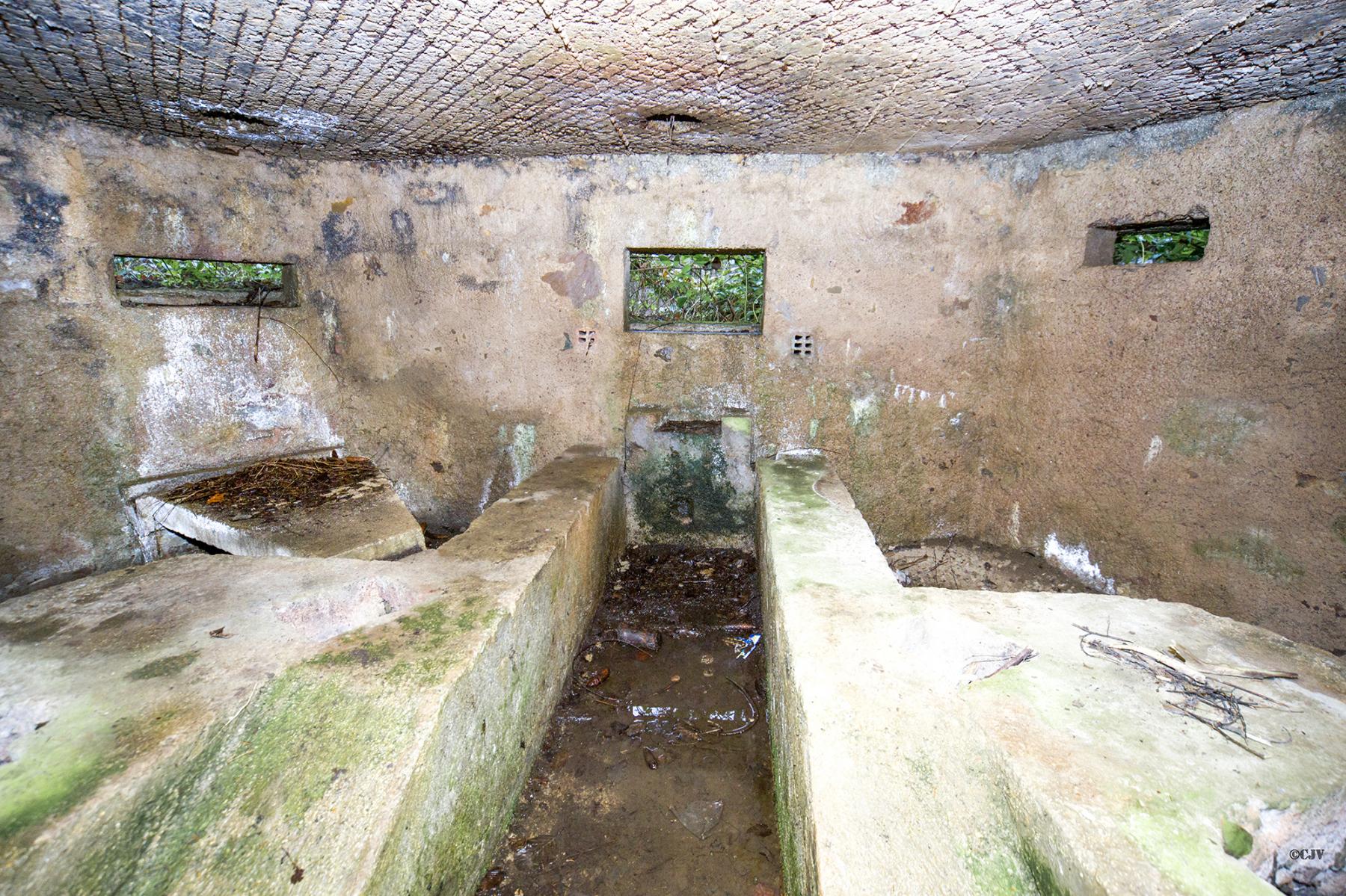 Ligne Maginot - BA17 - CARREFOUR ALEXANDRE - (Blockhaus pour canon) -  - Lia VERMEULEN