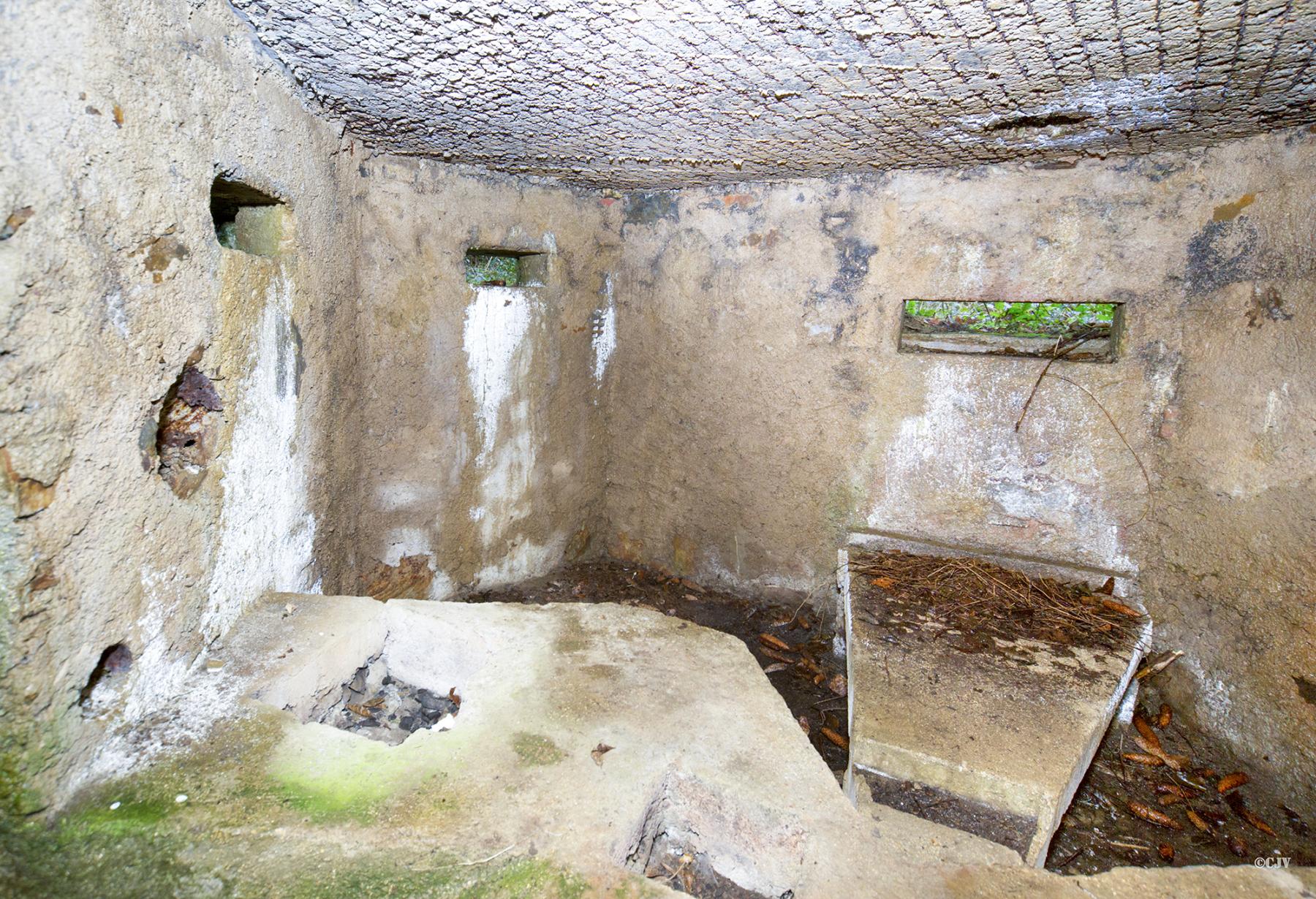 Ligne Maginot - BA17 - CARREFOUR ALEXANDRE - (Blockhaus pour canon) -  - Lia VERMEULEN