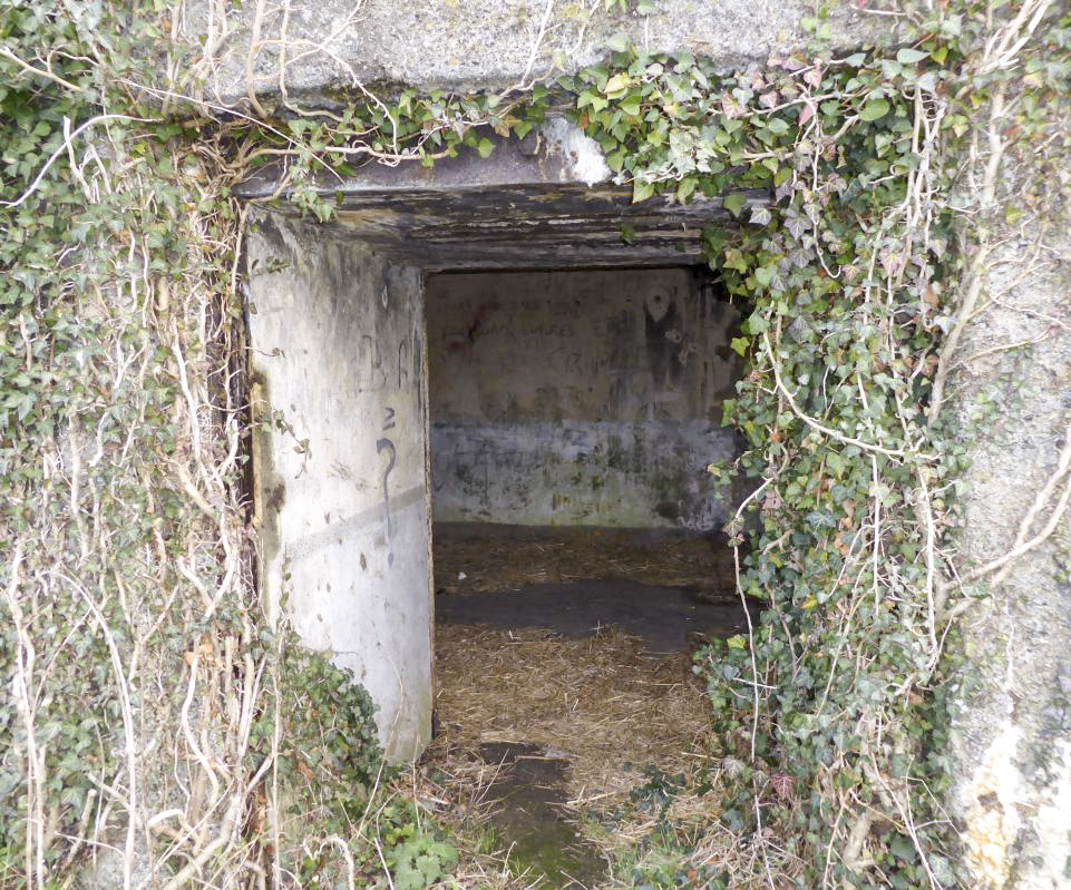 Ligne Maginot - B461 - RESERVOIR D'ONNAING - (Blockhaus pour canon) -  - François VILLARS