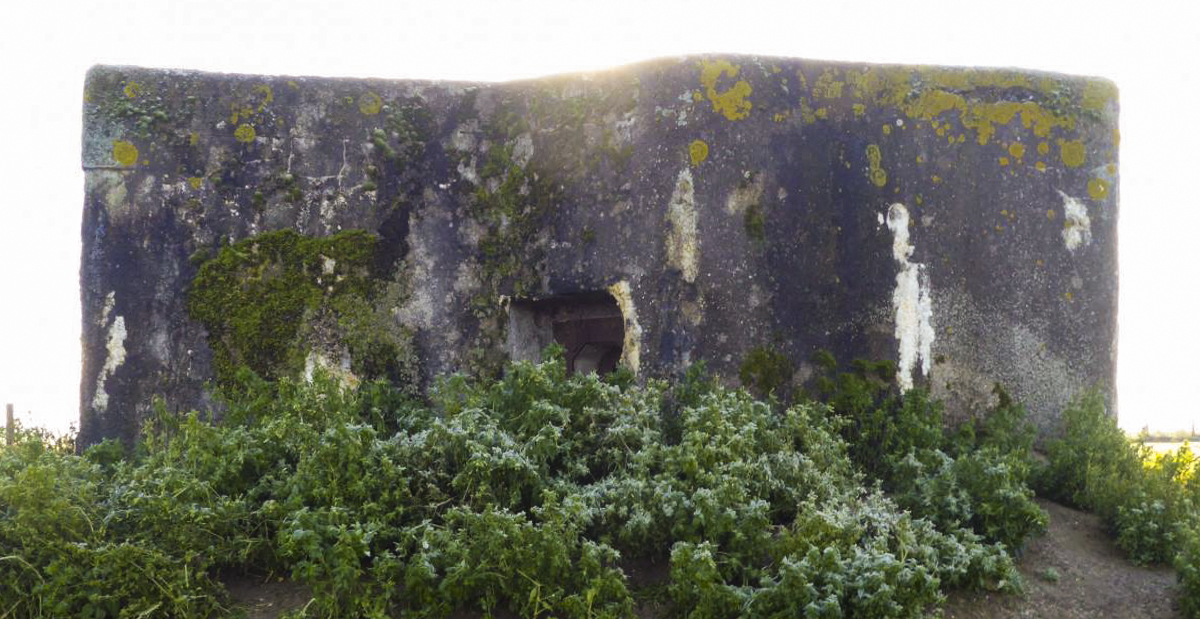 Ligne Maginot - B464 - BARAQUE DES CHASSEURS (PDS) - (Abri actif) -  - François VILLARS