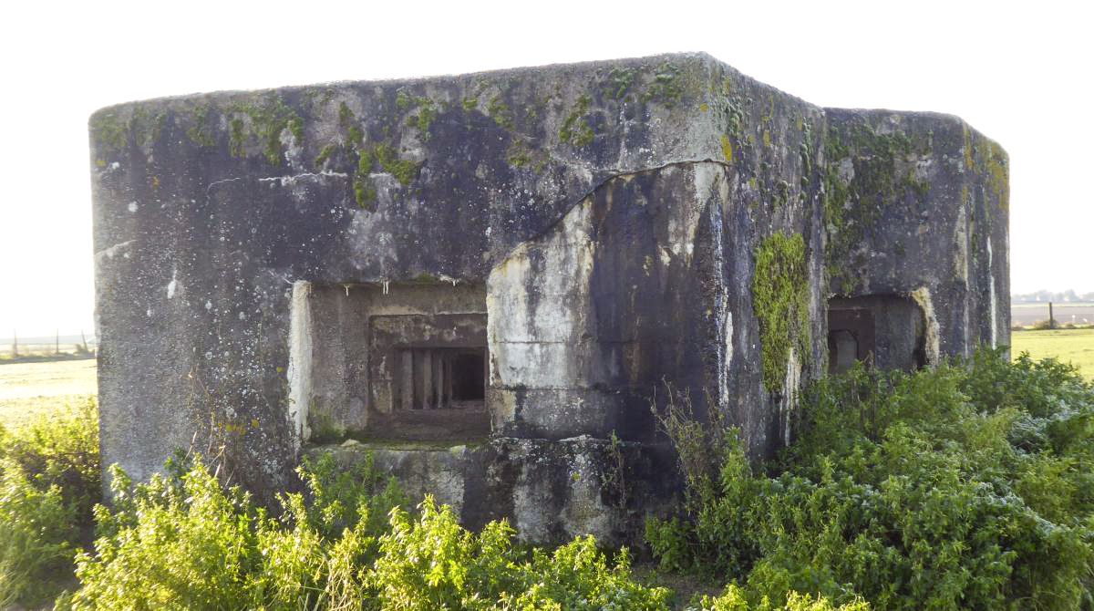 Ligne Maginot - B464 - BARAQUE DES CHASSEURS (PDS) - (Abri actif) - Vue frontale-gauche - François VILLARS
