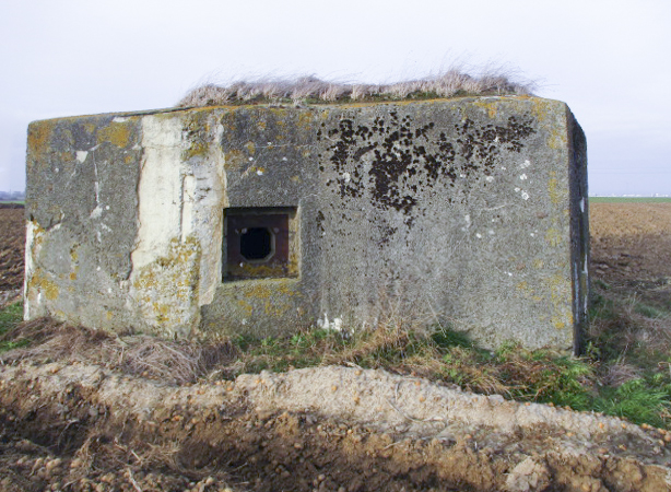 Ligne Maginot - B478 - ESTREUX (PDS) - (Abri actif) -  - Smardz Félix