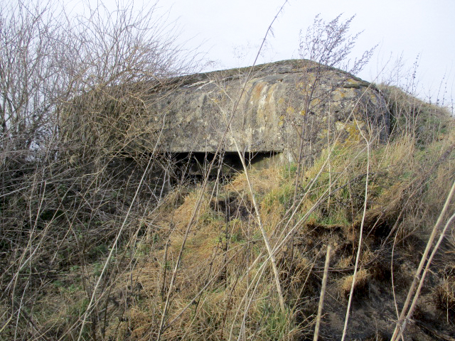 Ligne Maginot - B477 - ESTREUX NORD - (Blockhaus pour canon) -  - Smardz Félix