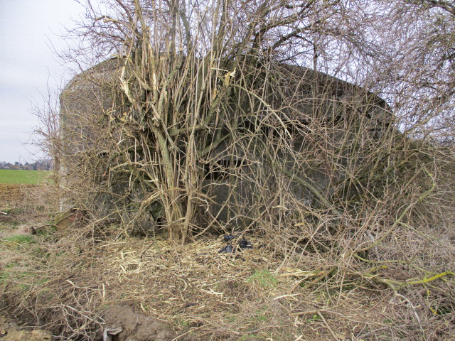 Ligne Maginot - B481 - FERME DU MOULIN - (Blockhaus pour canon) -  - Smardz Félix