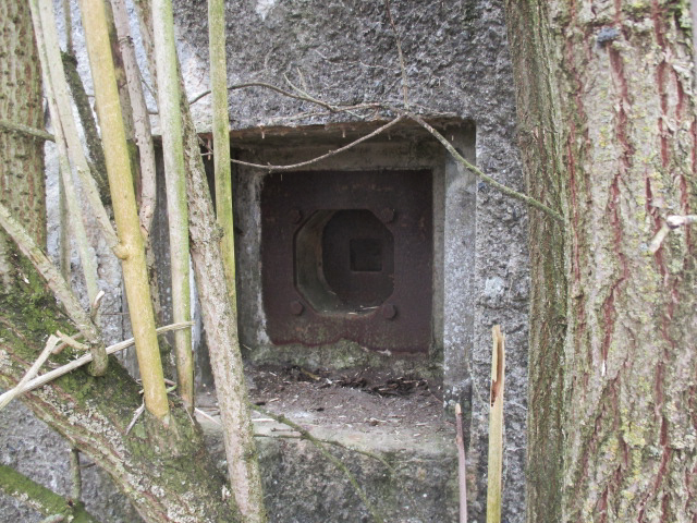 Ligne Maginot - B481 - FERME DU MOULIN - (Blockhaus pour canon) -  - Smardz Félix