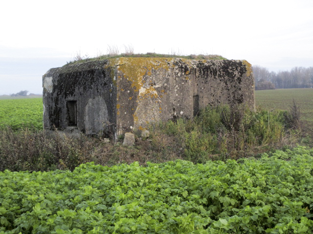 Ligne Maginot - B482 - SAINT DRUON (PDS) - (Abri actif) - Blockhaus dans son environnement, situé au lieu-dit 'Champ aux Arbres', à proximité d'un voie romaine. - Smardz Félix