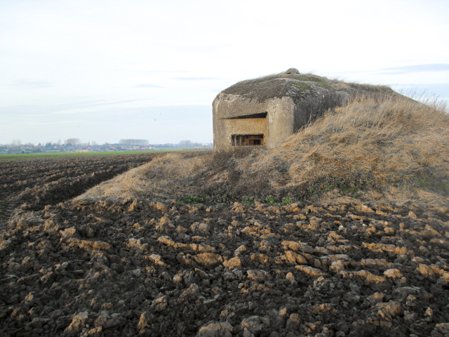 Ligne Maginot - B484 - STATION DE CURGIES - (Blockhaus pour canon) - Blockhaus dans son environnement. - Smardz Félix