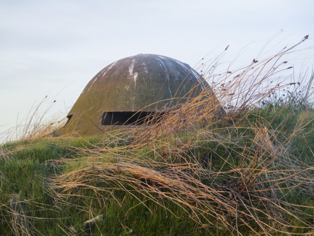 Ligne Maginot - B484 - STATION DE CURGIES - (Blockhaus pour canon) - Cloche type Valenciennes - Smardz Félix