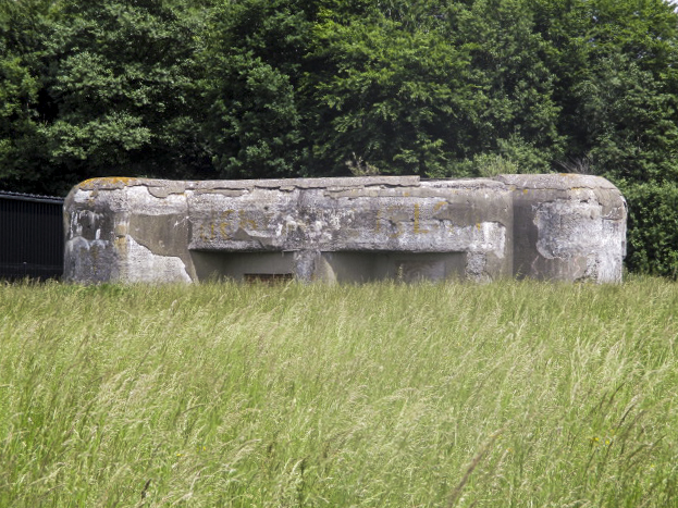 Ligne Maginot - LA CRASCOTTE OUEST - (Blockhaus lourd type STG / STG-FCR - Double) - Photo prise de la D 932 - Route de Maubeuge. - Smardz Félix