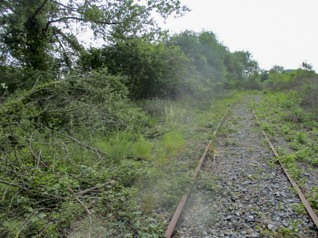 Ligne Maginot - GARE DE BAVAY - (Blockhaus lourd type STG / STG-FCR - Simple) - Photo prise de la voie ferrée désaffectée Hautmont Bettrechies - Smardz Félix
