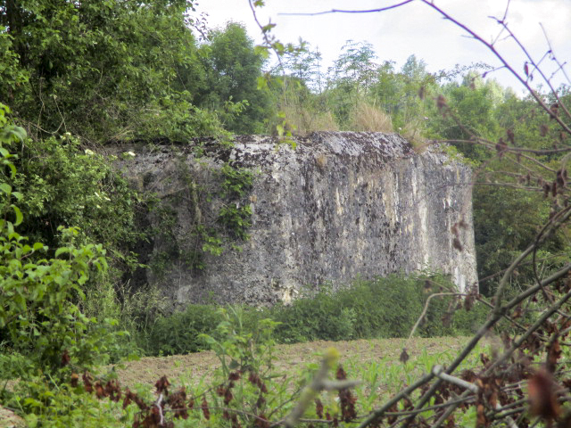 Ligne Maginot - GARE DE BAVAY - (Blockhaus lourd type STG / STG-FCR - Simple) - Photo prise de la voie ferrée désaffectée Hautmont Bettrechies - Smardz Félix