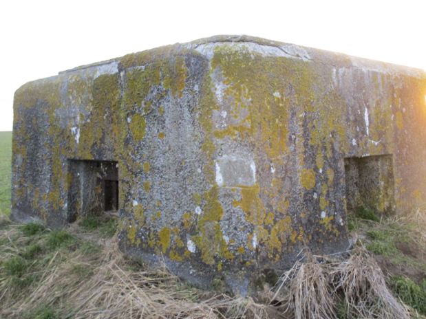 Ligne Maginot - B487 - CURGIES (PDS) - (Abri actif) -  - Smardz Félix