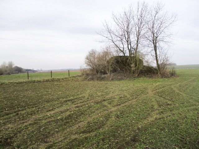 Ligne Maginot - B490 - CURGIES SUD-EST - (Blockhaus pour canon) - Situé dans son environnement, dans un champ cultivé, à proximité d'un pré clôturé. - Smardz Félix