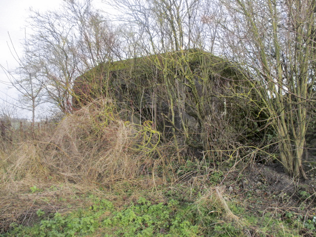 Ligne Maginot - B490 - CURGIES SUD-EST - (Blockhaus pour canon) -  - Smardz Félix