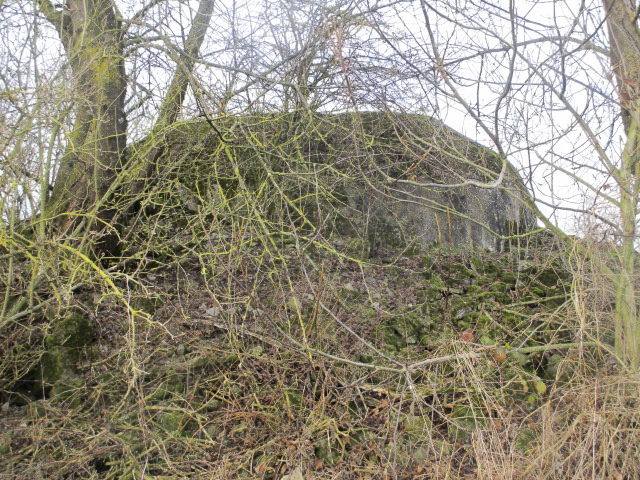 Ligne Maginot - B490 - CURGIES SUD-EST - (Blockhaus pour canon) -  - Smardz Félix