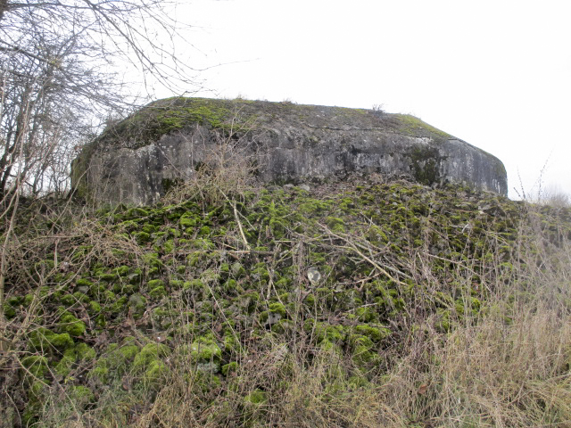 Ligne Maginot - B490 - CURGIES SUD-EST - (Blockhaus pour canon) -  - Smardz Félix