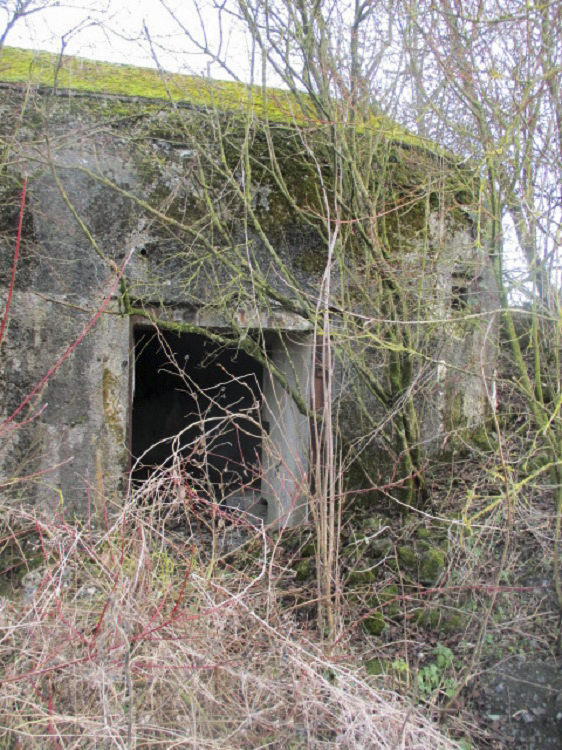 Ligne Maginot - B490 - CURGIES SUD-EST - (Blockhaus pour canon) -  - Smardz Félix