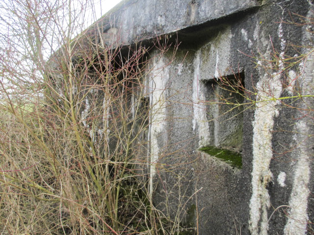 Ligne Maginot - B490 - CURGIES SUD-EST - (Blockhaus pour canon) -  - Smardz Félix