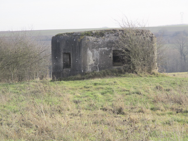 Ligne Maginot - B493 - TALANDIER SUD-EST (PDS) - (Abri actif) - Situé dans un pré clôturé, le blockhaus est visible du Chemin du Bois. - Smardz Félix