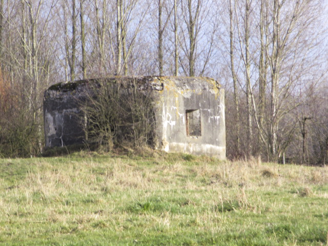 Ligne Maginot - B493 - TALANDIER SUD-EST (PDS) - (Abri actif) - Situé dans un pré clôturé, le blockhaus est visible du Chemin du Bois. - Smardz Félix
