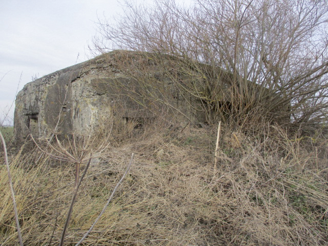 Ligne Maginot - B491 - NOTRE DAME - (Blockhaus pour canon) - Créneau Est - Smardz Félix