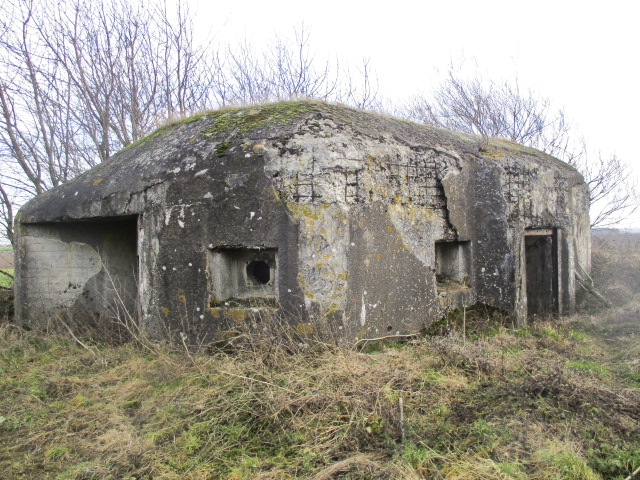 Ligne Maginot - B491 - NOTRE DAME - (Blockhaus pour canon) -  - Smardz Félix