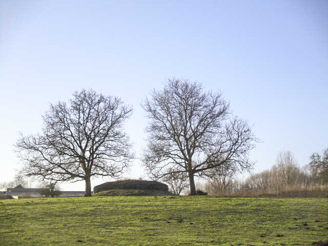 Ligne Maginot - B512 - WARGNIES le GRAND Ouest - Situé dans son environnement. - Smardz Félix