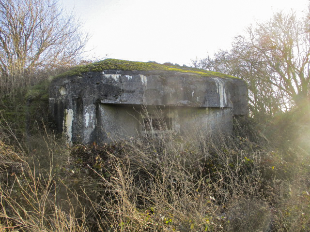 Ligne Maginot - B517 - BRY - (Blockhaus pour canon) -  - Smardz Félix