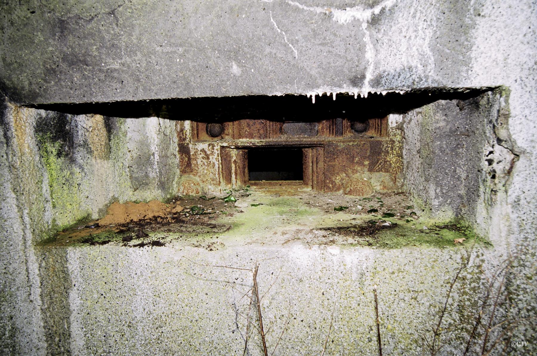 Ligne Maginot - B521 - STATION DE WARGNIES - (Blockhaus pour canon) -  - Caspar Vermeulen
