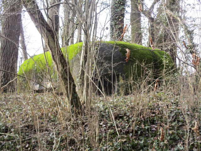 Ligne Maginot - B527 - MOULIN D'EN BAS SUD - (Blockhaus pour canon) - Blockhaus situé dans un bois. - Smardz Félix