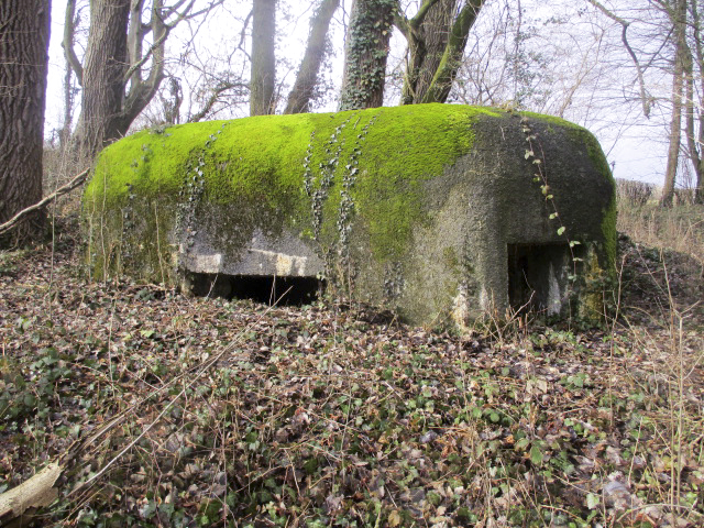 Ligne Maginot - B527 - MOULIN D'EN BAS SUD - (Blockhaus pour canon) - Blockhaus situé dans un bois. - Smardz Félix