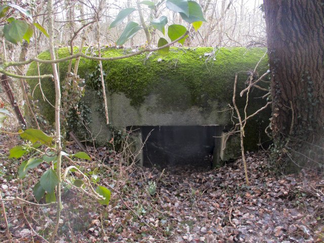 Ligne Maginot - B527 - MOULIN D'EN BAS SUD - (Blockhaus pour canon) - Blockhaus situé dans un bois. - Smardz Félix