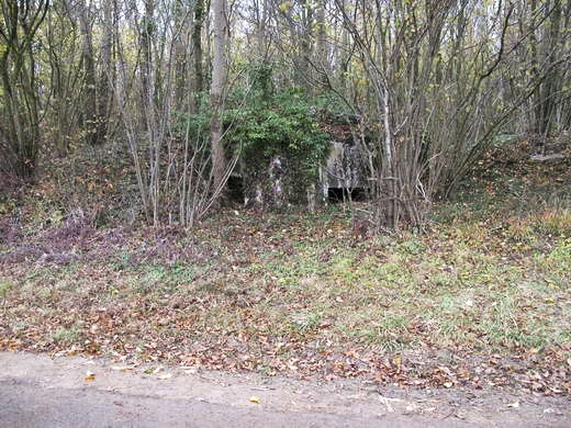 Ligne Maginot - B528 - BOIS de la FERRIERE Nord (Blockhaus pour canon) -  - AALMA - www.lignemaginot.com