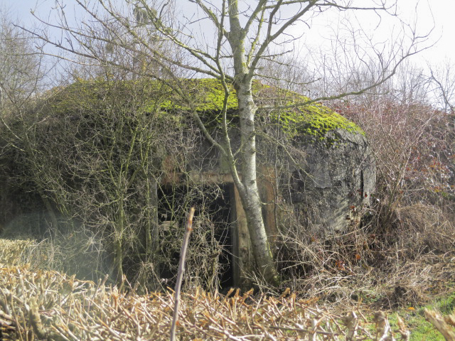 Ligne Maginot - B529 - BOIS DE LA FERRIERE SUD - (Blockhaus pour canon) - Blockhaus situé dans un pré clôturé. - Smardz Félix