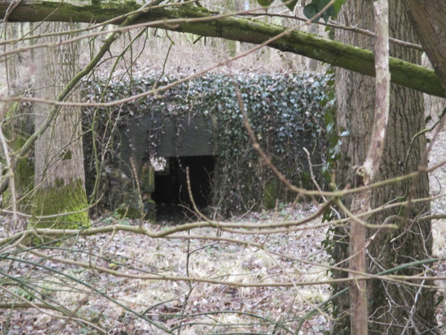 Ligne Maginot - B530 - QUELIPONT EST - (Blockhaus pour canon) - Blockhaus situé dans un bois. - Smardz Félix