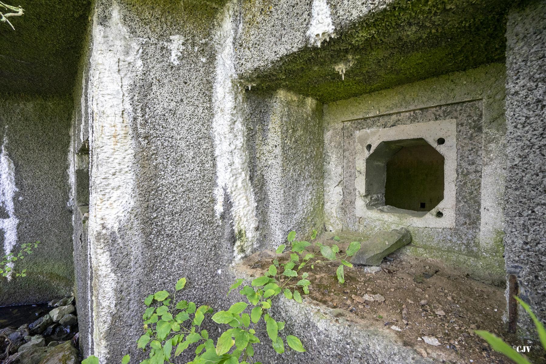 Ligne Maginot - B490 - CURGIES SUD-EST - (Blockhaus pour canon) - Le créneau - Lia VERMEULEN