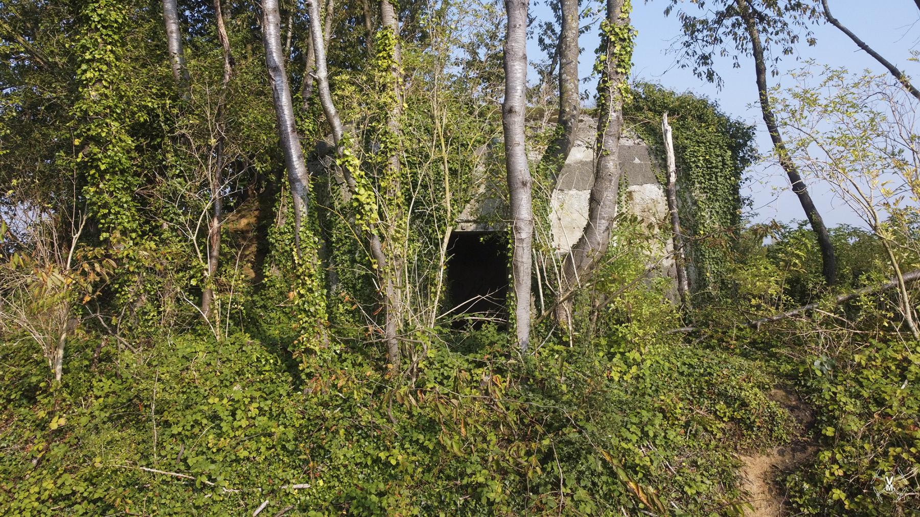 Ligne Maginot - B492 - JENLAIN NORD - (Blockhaus pour canon) -  - Vincent et Michiel Vermeulen