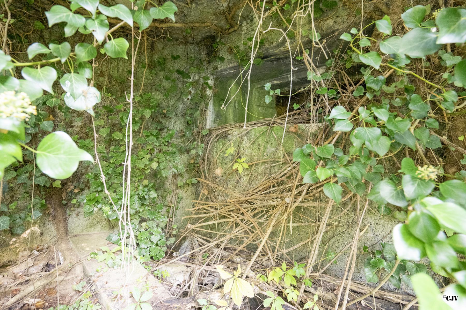 Ligne Maginot - B499 - PETITE AUNELLE - (Blockhaus pour canon) - Créneau Ouest - Lia VERMEULEN