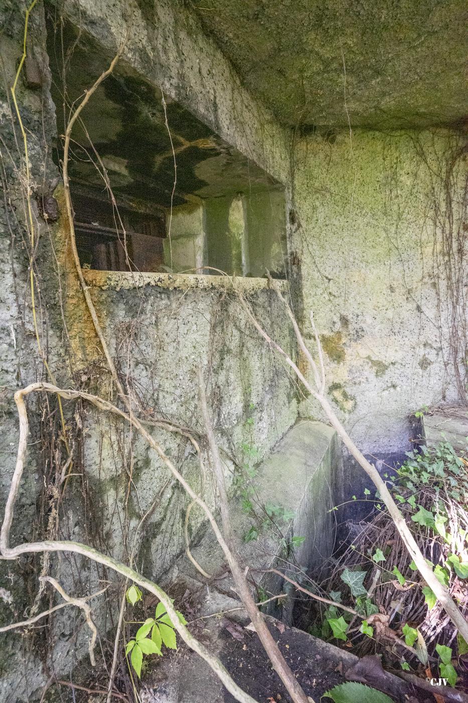 Ligne Maginot - B499 - PETITE AUNELLE - (Blockhaus pour canon) - Créneau Est - Lia VERMEULEN