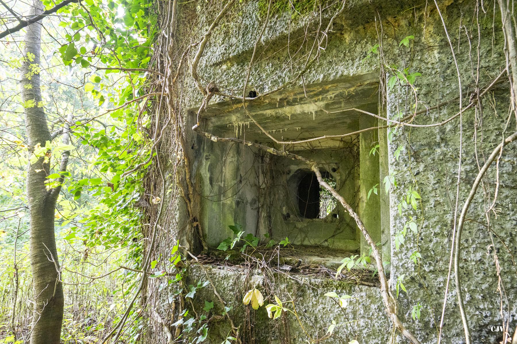Ligne Maginot - B499 - PETITE AUNELLE - (Blockhaus pour canon) - Créneau Est  - Lia VERMEULEN