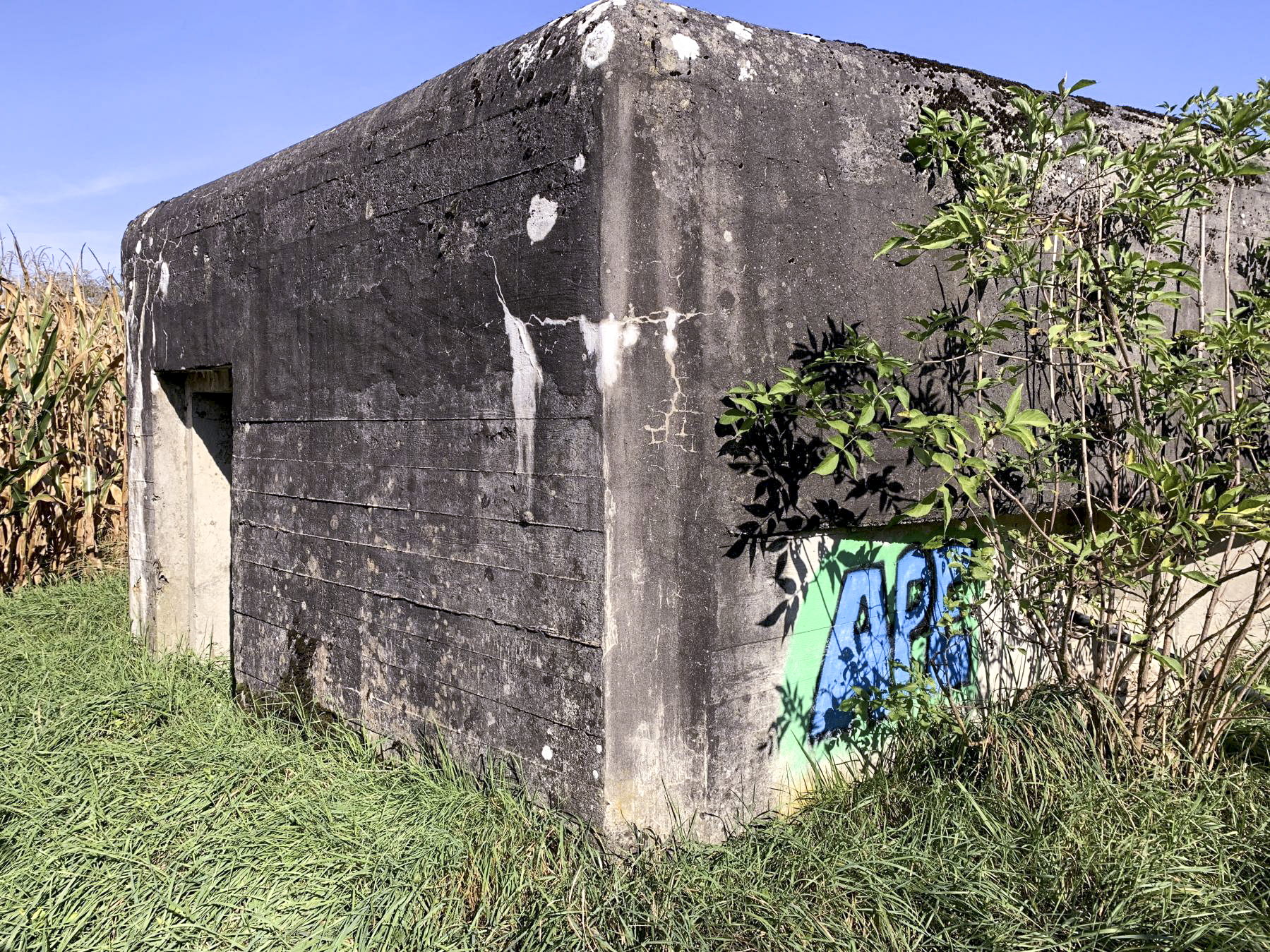 Ligne Maginot - SCHWEINECK 1 - (Blockhaus pour arme infanterie) -  - A. SCHOEN
