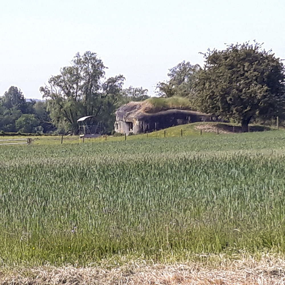 Ligne Maginot - B560 - QUESNE LUQUET - (Blockhaus pour canon) -  - Joel BEYAERT