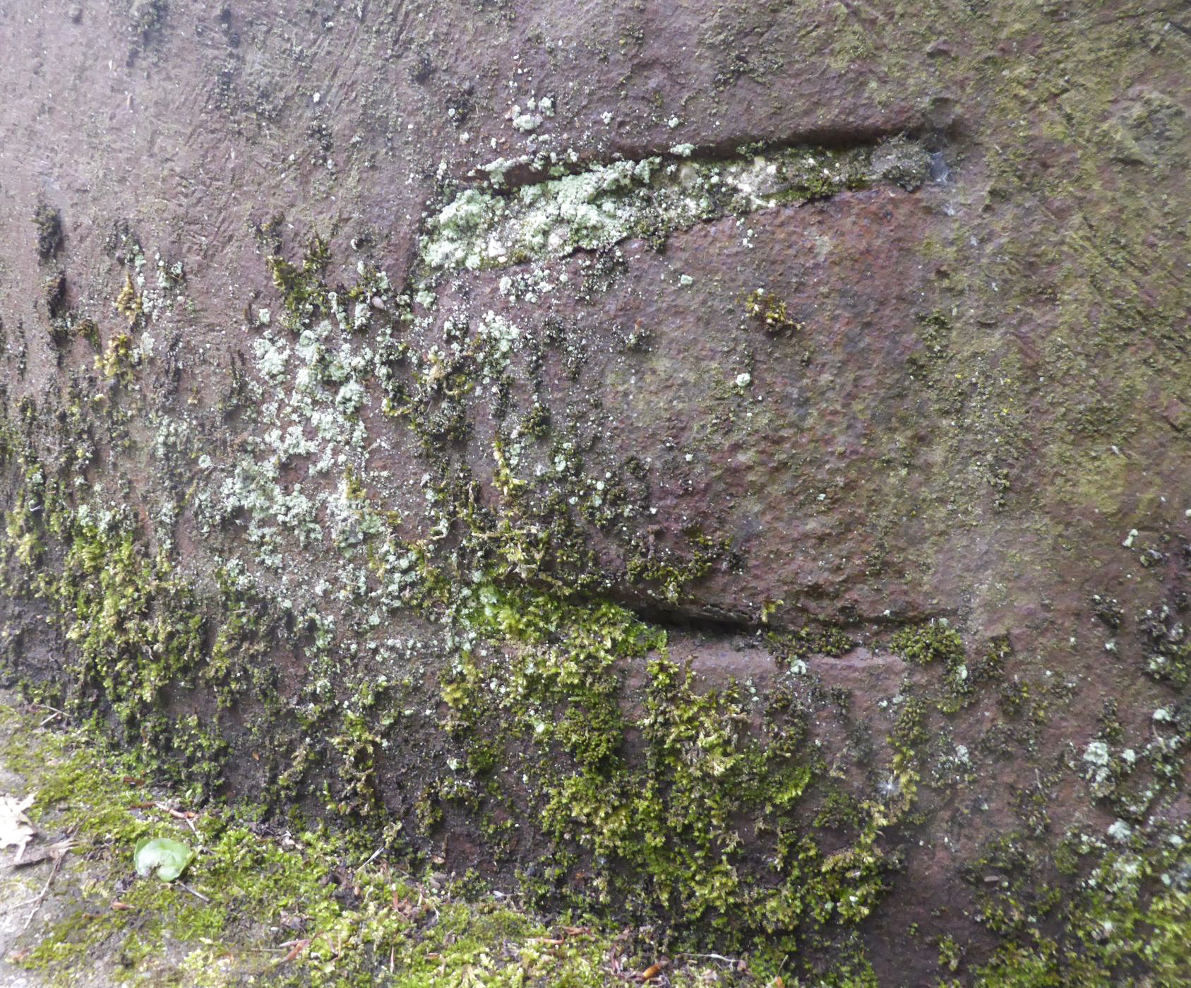 Ligne Maginot - NOTRE DAME D'AMOUR - C1 - (Casemate d'infanterie - double) - La cloche JM modifiée pour AM : obturation soudée, vue de l'extérieur. - François VILLARS