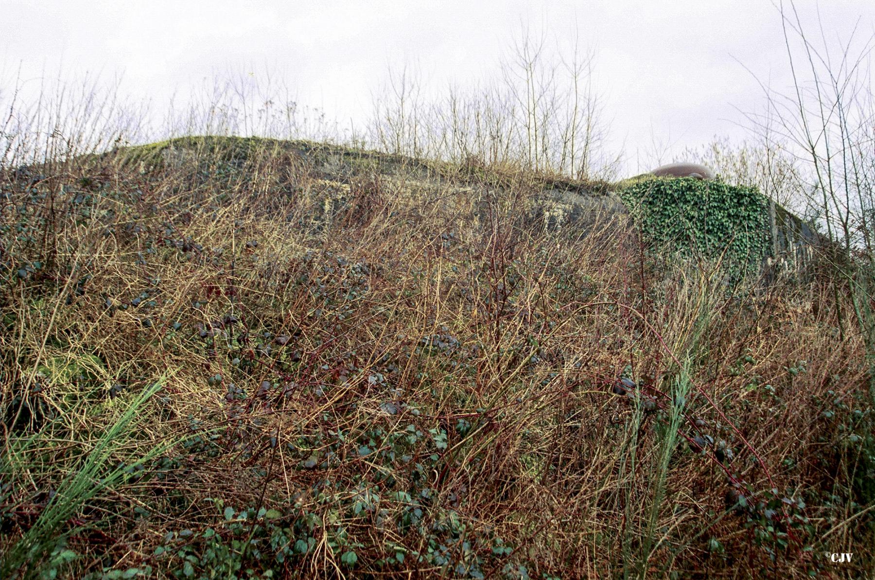 Ligne Maginot - TRIEUX D'ESCAUPONT EST - C10 - (Casemate d'infanterie) -  - Caspar Vermeulen