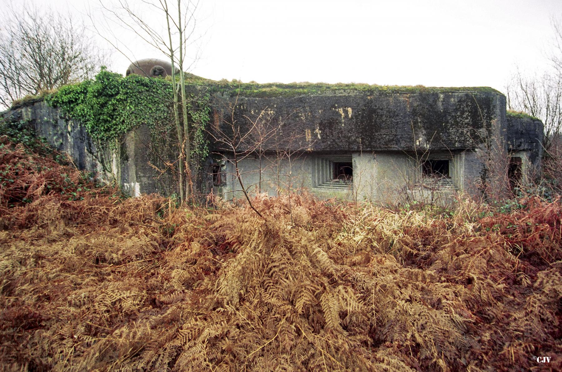 Ligne Maginot - TRIEUX D'ESCAUPONT OUEST - C9 - (Casemate d'infanterie) -  - Caspar Vermeulen