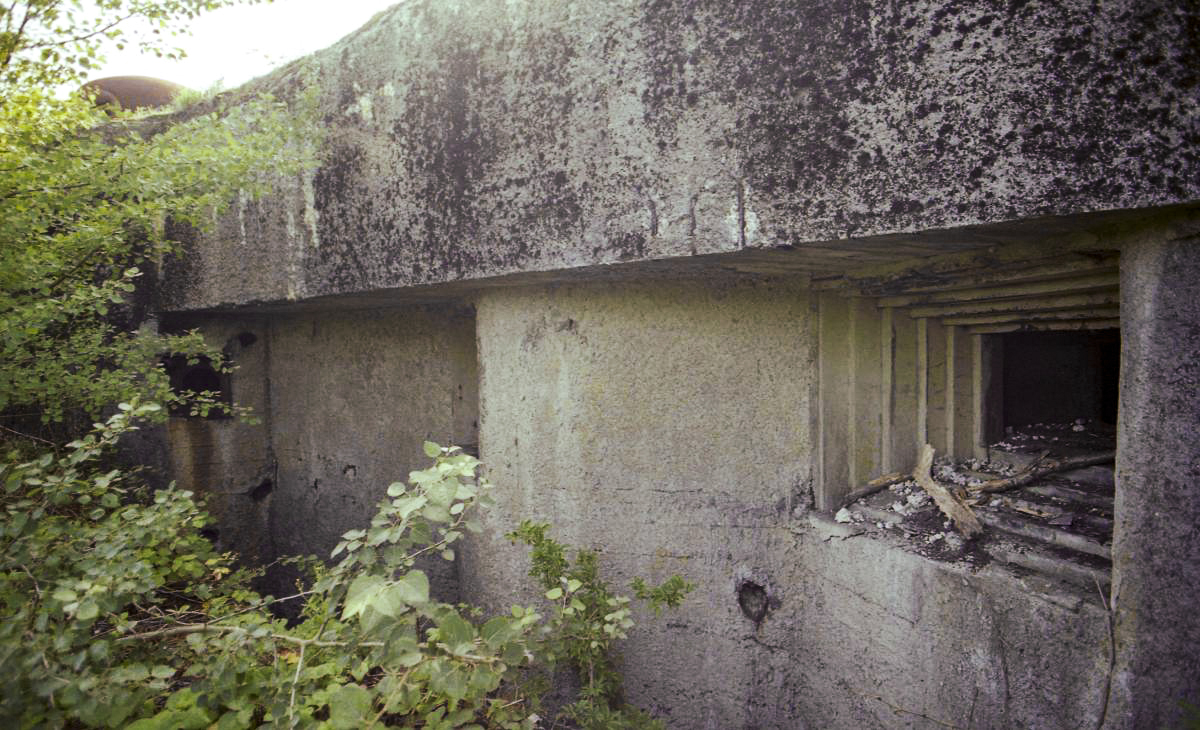 Ligne Maginot - TRIEUX D'ESCAUPONT OUEST - C9 - (Casemate d'infanterie) -  - Valentin Hemmert