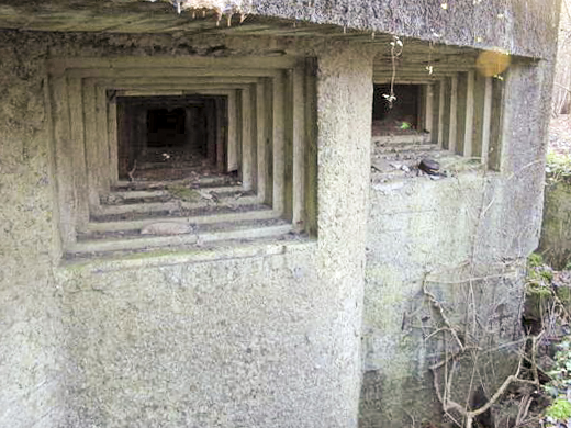 Ligne Maginot - TRIEUX D'ESCAUPONT OUEST - C9 - (Casemate d'infanterie) -  - AALMA - www.lignemaginot.com