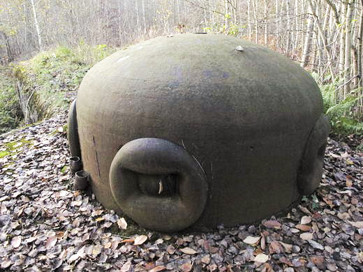 Ligne Maginot - TRIEUX D'ESCAUPONT EST - C10 - (Casemate d'infanterie) -  - AALMA - www.lignemaginot.com